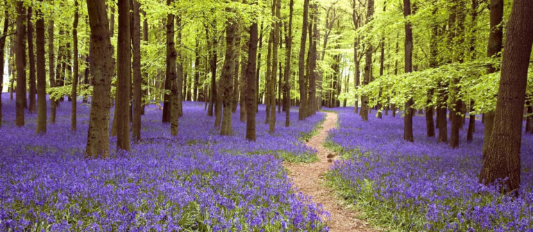 counselling-hypnotherapy-winchester